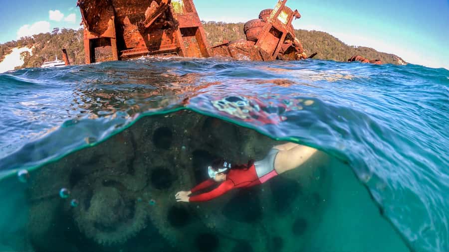 Moreton Island: Tangalooma Snorkeling Tour & Dolphin Feeding - Tangalooma Resort as your island base