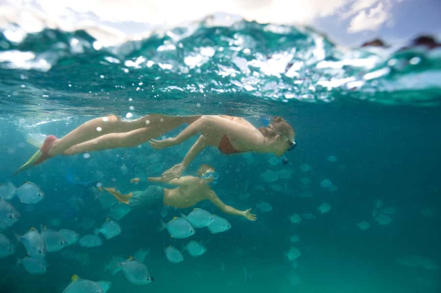 Moreton Island: Tangalooma Snorkeling Tour & Dolphin Feeding - How the schedule feels in practice