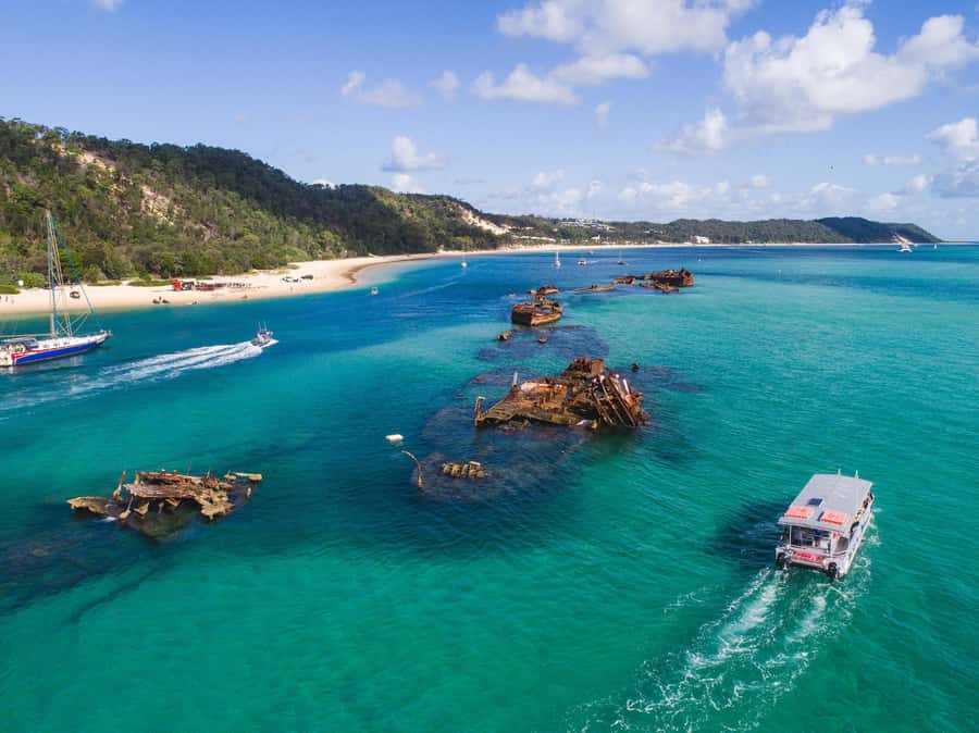 Moreton Island: Tangalooma Snorkeling Tour & Dolphin Feeding - Should you book the Tangalooma day trip?