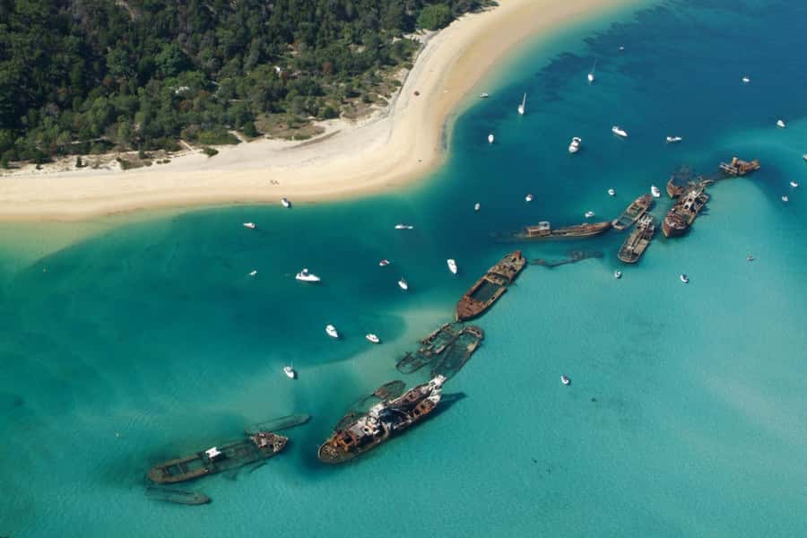 Moreton Island: Tangalooma Snorkelling with Dolphin Viewing - Lunch, pools, and an afternoon at your own speed
