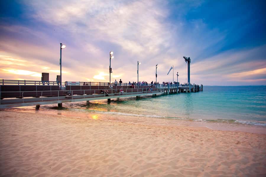 Moreton Island: Tangalooma Snorkelling with Dolphin Viewing - Who will enjoy this day most