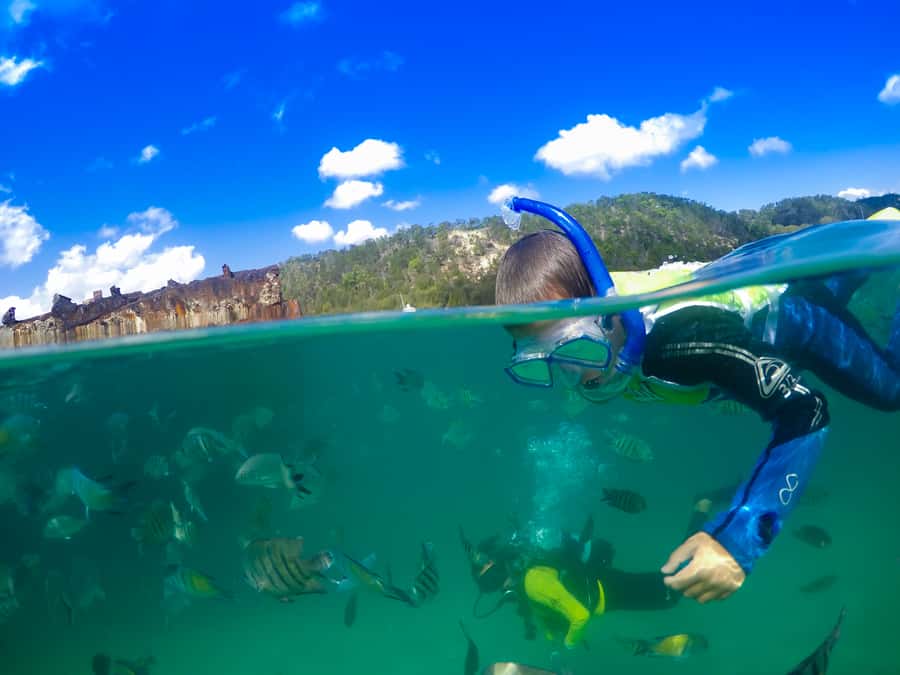 Moreton Island: Tangalooma Snorkelling with Dolphin Viewing - Your first look at Tangalooma Island Resort