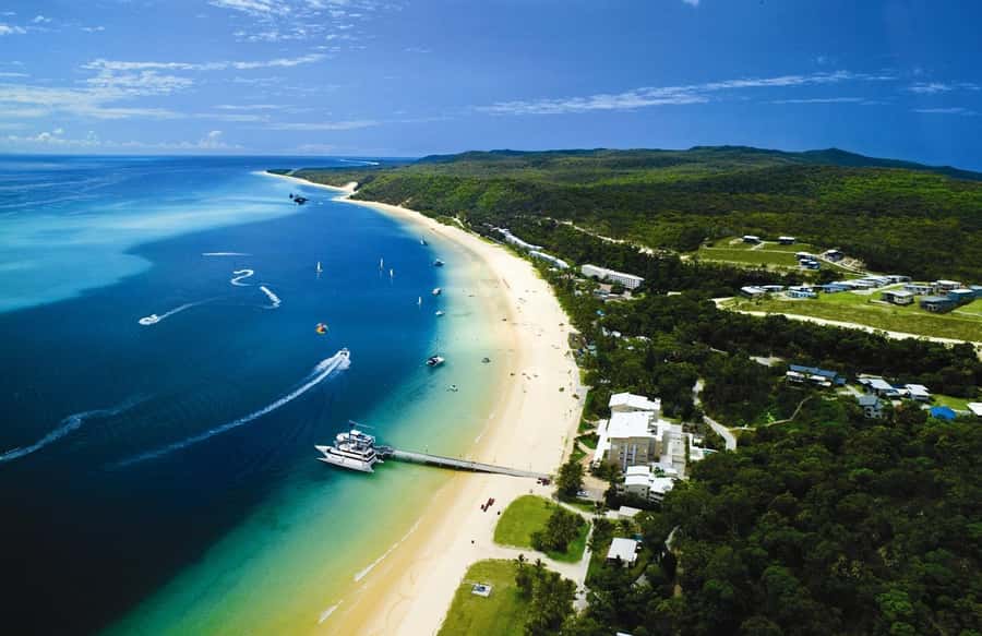 Moreton Island: Tangalooma Whale Watching & Dolphin Feeding - What the $162 price covers