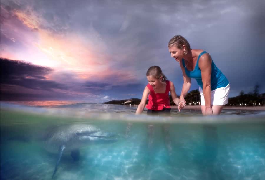 Moreton Island: Tangalooma Whale Watching & Dolphin Feeding - Who will enjoy this day most