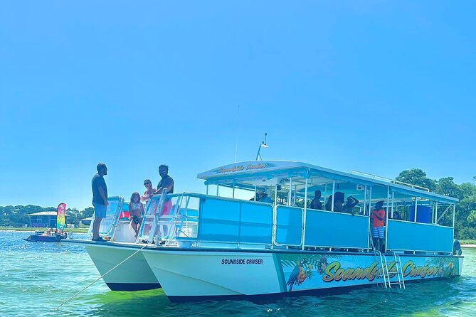 Morning Snorkel & Dolphin Adventure - Key points at a glance