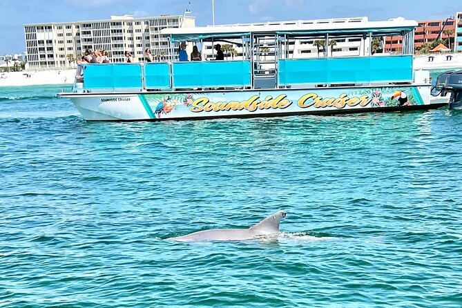 Morning Snorkel & Dolphin Adventure - A morning on the Fort Walton Beach water