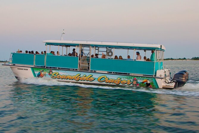 Morning Snorkel & Dolphin Adventure - Who will enjoy this morning cruise