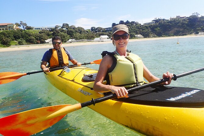 Mornington Peninsula Kayak Coastline Tour of Dolphin Sanctuary - Starting at Bayplay in Portsea
