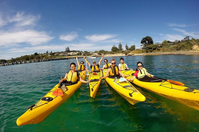 Mornington Peninsula Kayak Coastline Tour of Dolphin Sanctuary - About an Hour Along the Mornington Peninsula Coast
