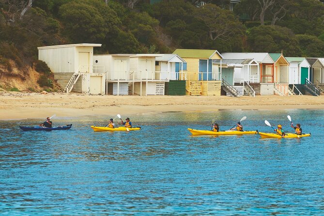 Mornington Peninsula Kayak Coastline Tour of Dolphin Sanctuary - The Beach Break After the First Hour