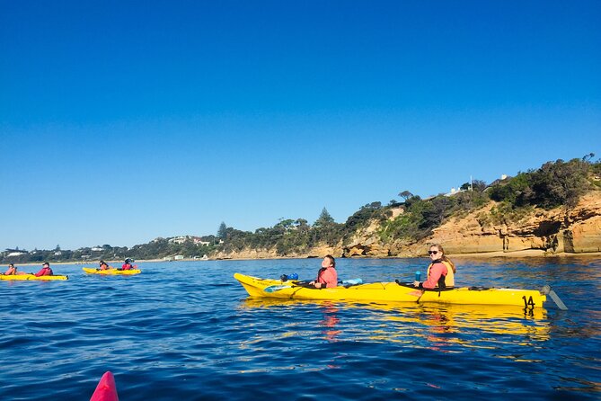 Mornington Peninsula Kayak Coastline Tour of Dolphin Sanctuary - Millionaires Walk and Point Nepean