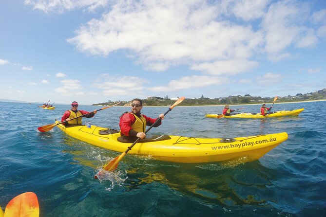 Mornington Peninsula Kayak Coastline Tour of Dolphin Sanctuary - Finishing Back at the Bayplay Shop