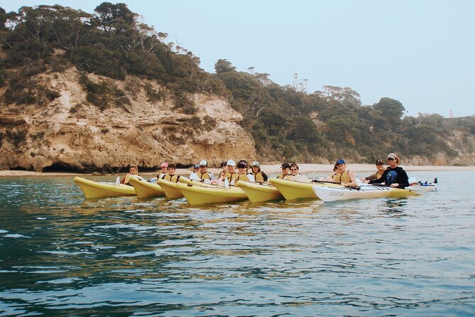 Mornington Peninsula Kayak Coastline Tour of Dolphin Sanctuary - Is $78.90 Good Value?