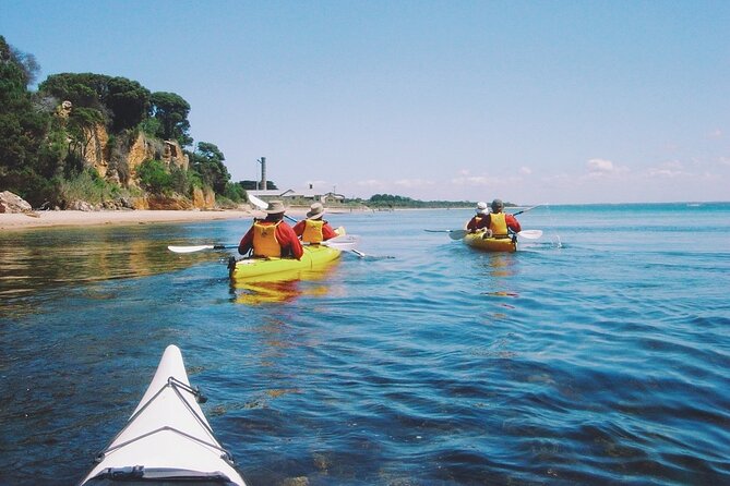 Mornington Peninsula Kayak Coastline Tour of Dolphin Sanctuary - Weather Changes and a Useful Booking Warning