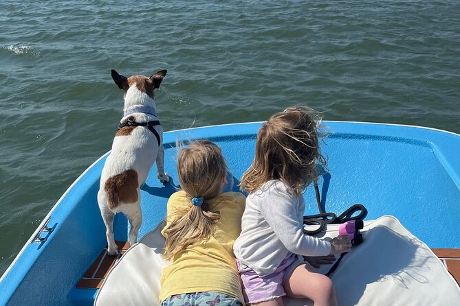 Morris Island Dolphin Cruise and Shelling Trip - Viewing the Morris Island Lighthouse
