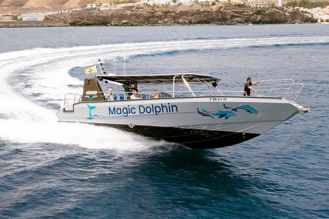 Morro Jable: 2 Hours Magic Dolphin & Whale watching with Drinks & Swim Stop. - Weather, cancellations, and practical details