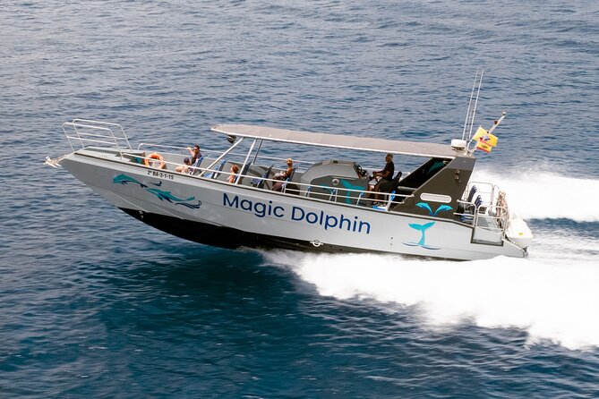 Morro Jable: 2 Hours Magic Dolphin & Whale watching with Drinks & Swim Stop. - The first search for dolphins and whales