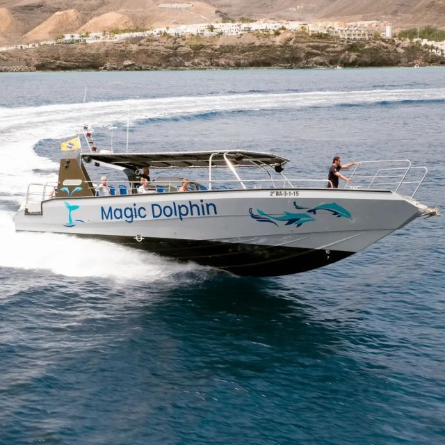 Morro Jable: Dolphin & Whale Watching Cruise, Drinks & Swim - What the $58 price really covers