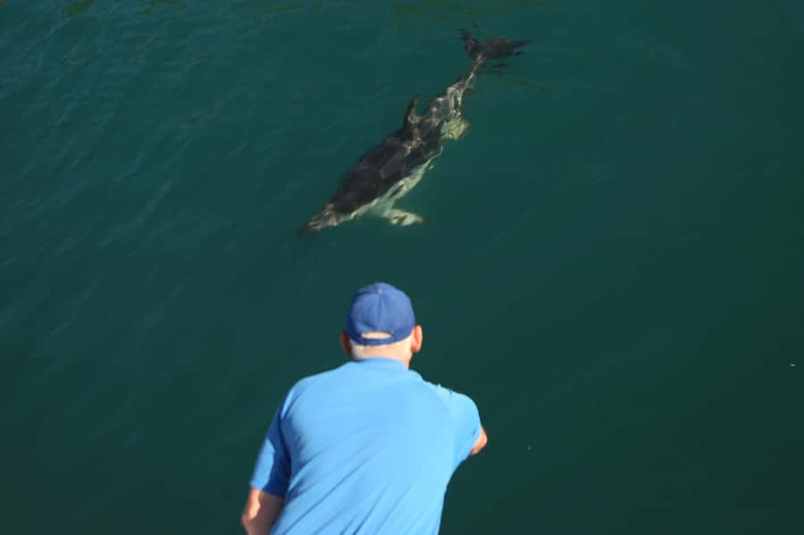 Motuara Island Sanctuary: Wildlife & Dolphin Watching Tour - Who will enjoy this outing most