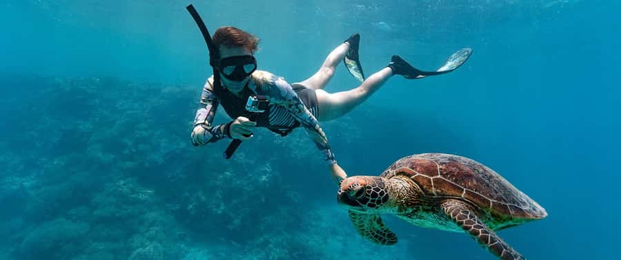 Muscat: 4-Hour Snorkeling Tour with Dolphin watching - Who will enjoy this Muscat boat trip most