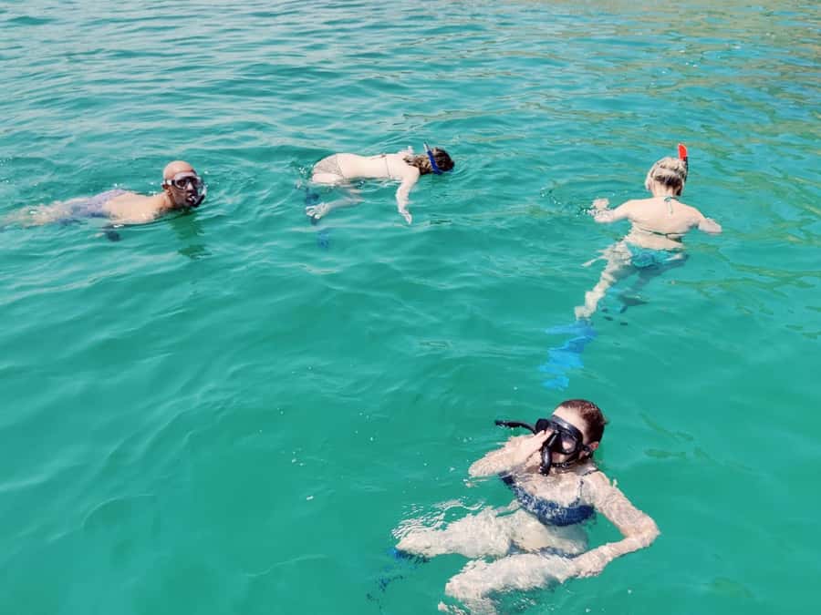 Muscat: Dolphin Watch & Snorkel Excursion - Searching for dolphins in open water
