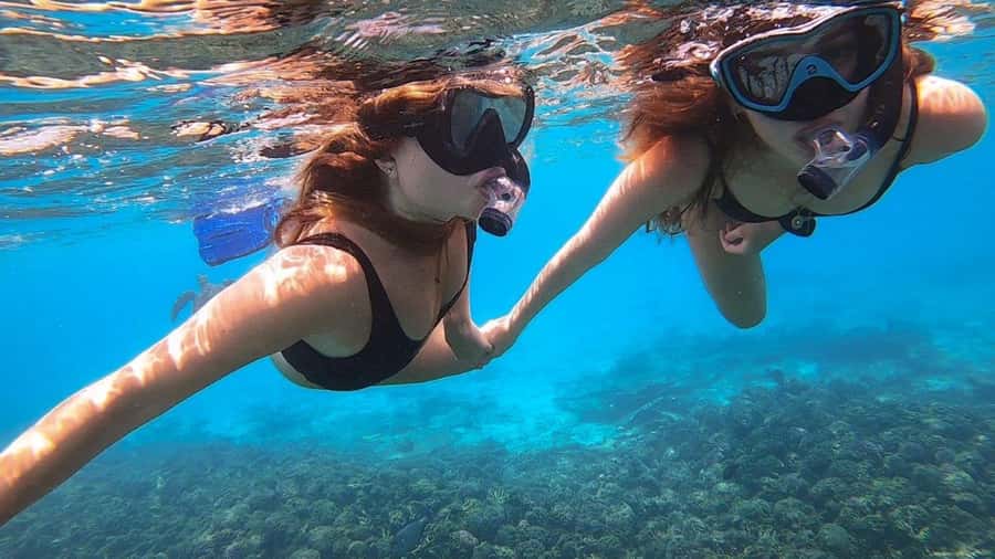 Muscat: Dolphin Watch & Snorkel Excursion - Who will get the most from this tour