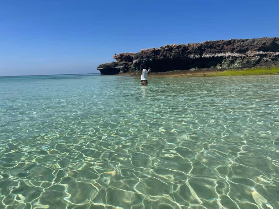 Muscat: Dolphin Watch & Snorkeling - Setting out from Marina Bandar Rawda