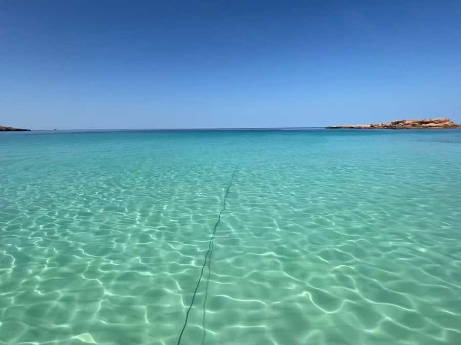 Muscat: Dolphin Watch & Snorkeling - Watching dolphins in the Gulf of Oman