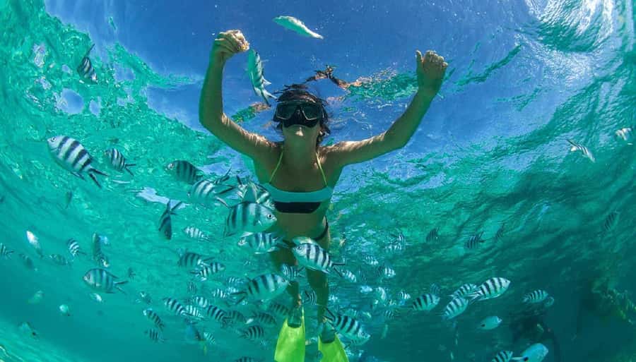 Muscat: Dolphin Watching and Snorkeling Tour - Small details that improve the day