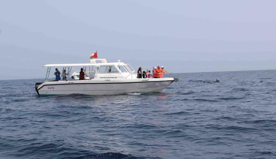 Muscat: Dolphin Watching and Snorkeling Tour By Speed Boat - A morning on Muscat’s water