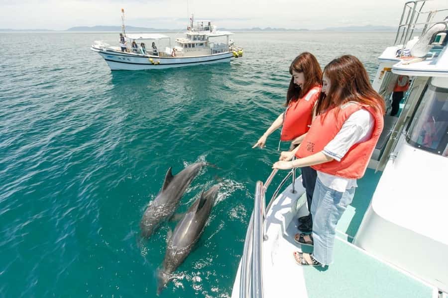 Muscat: Dolphin Watching and Snorkeling Tour - A practical look at the four-hour schedule