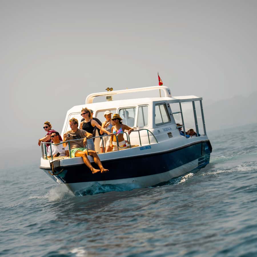 Muscat: Dolphin Watching and Snorkeling Trip - Key points at a glance