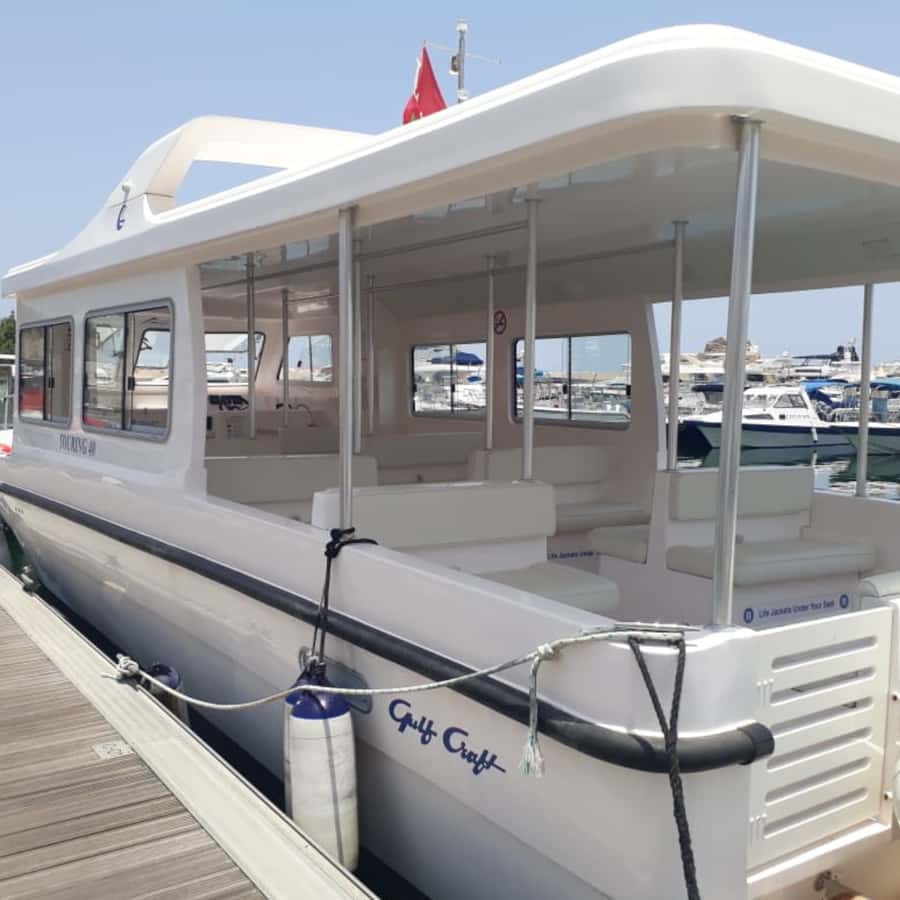 Muscat: Dolphin Watching and Snorkeling Trip - Choosing between the early and late departure