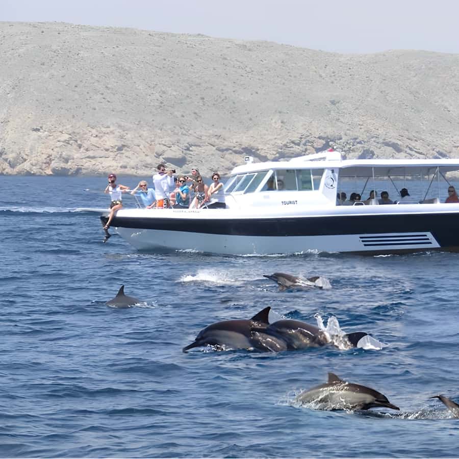 Muscat: Dolphin Watching and Snorkeling Trip - Who will enjoy this Muscat boat trip most