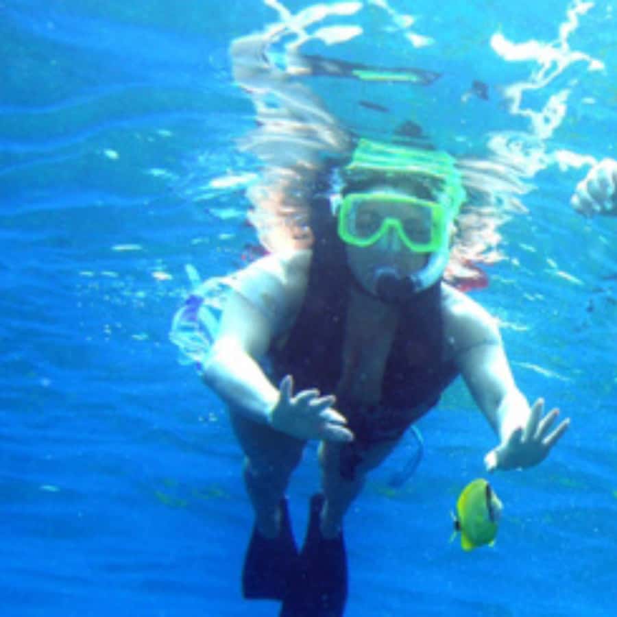 Muscat: Dolphin Watching and Snorkeling Trip - Should you book this dolphin and snorkeling trip?