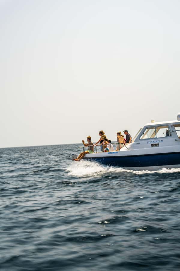 Muscat: Dolphin Watching Boat Trip with Snacks & Local Guide - Arch Rock and the Bustan Palace coastline