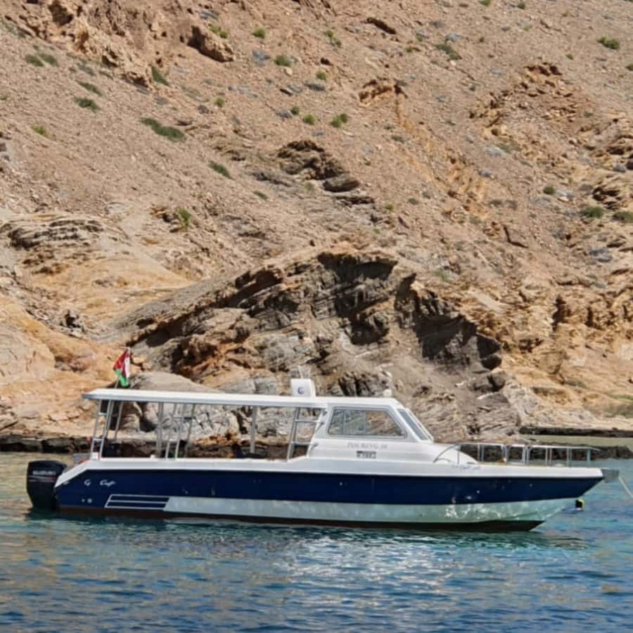Muscat: Dolphin Watching Boat Trip with Snacks & Local Guide - What is included during the two hours