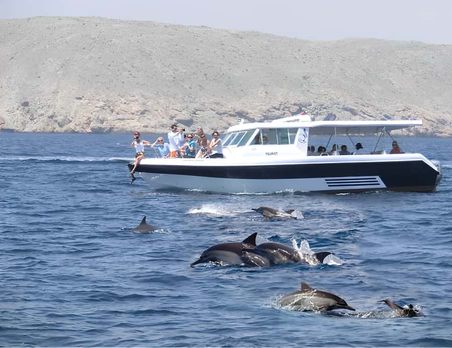 Muscat: Dolphin Watching Boat Trip with Snacks & Local Guide - Searching for dolphins in Muscat’s coastal waters