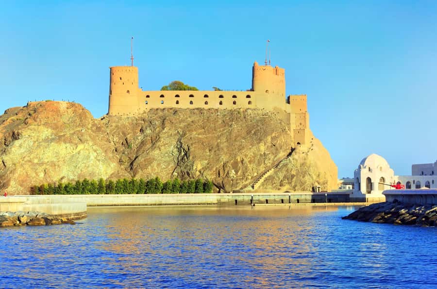 Muscat Dolphin Watching & Coastal Sightseeing Tour - Who will enjoy this most