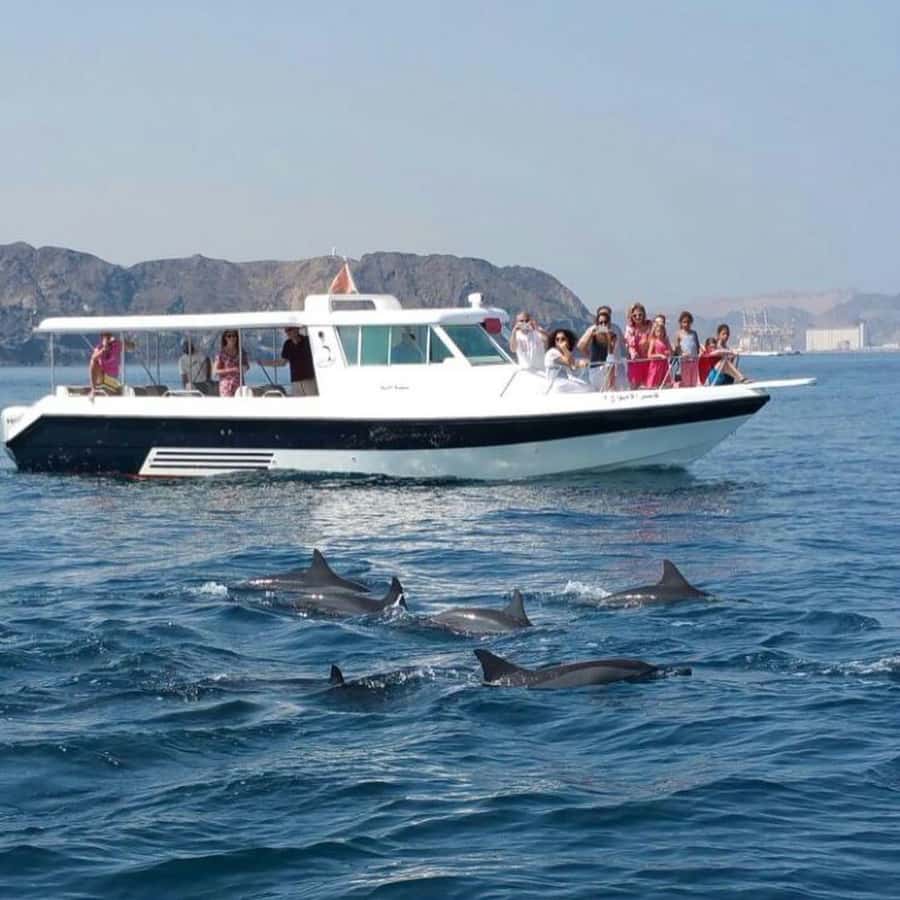 Muscat Dolphin Watching & Coastal Sightseeing Tour - Starting near Marina Bandar Al Rowdha