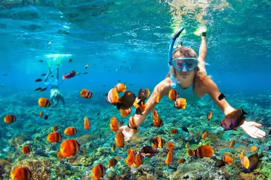 Muscat: Snorkeling and Dolphin Watching Tour - Leaving Marina Bandar Al Rowdha