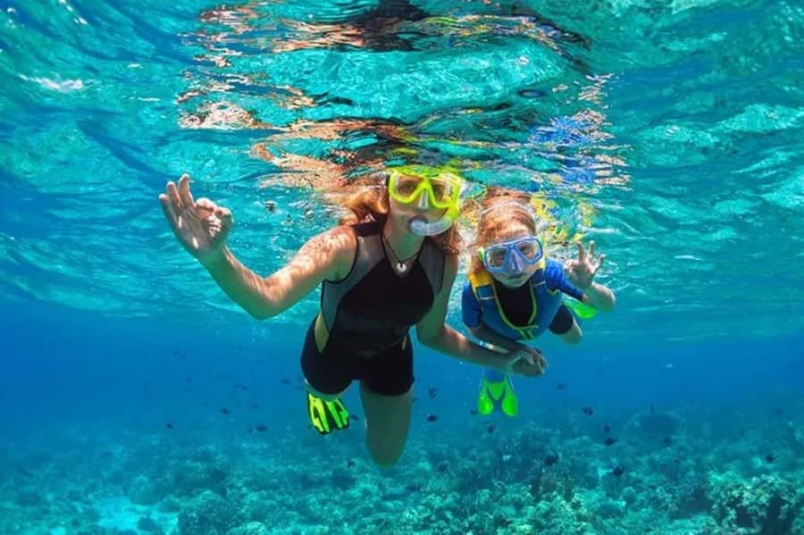 Muscat: Snorkeling and Dolphin Watching Tour - Swimming and snorkeling in Omani water