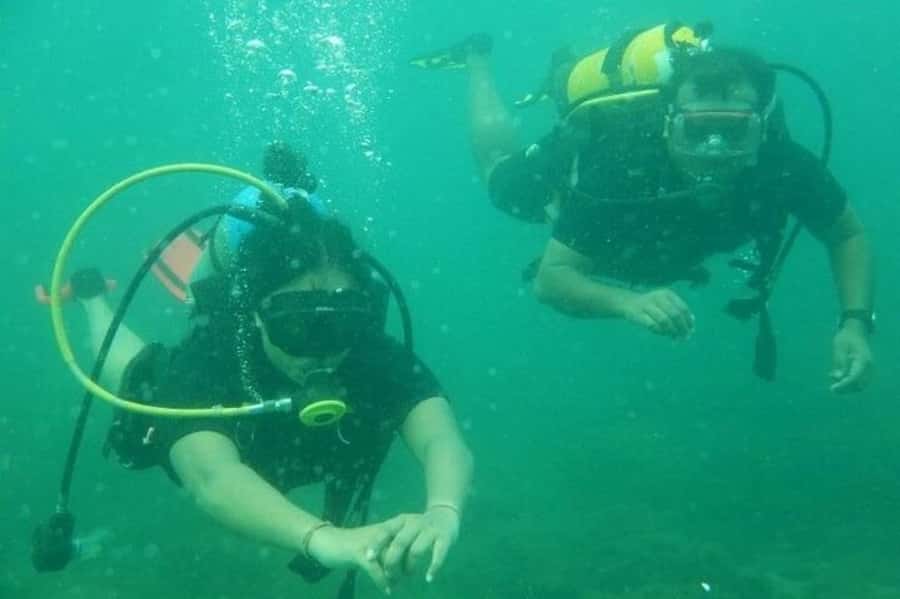 Muscat: Snorkeling and Dolphin Watching Tour - How $50 compares with the experience