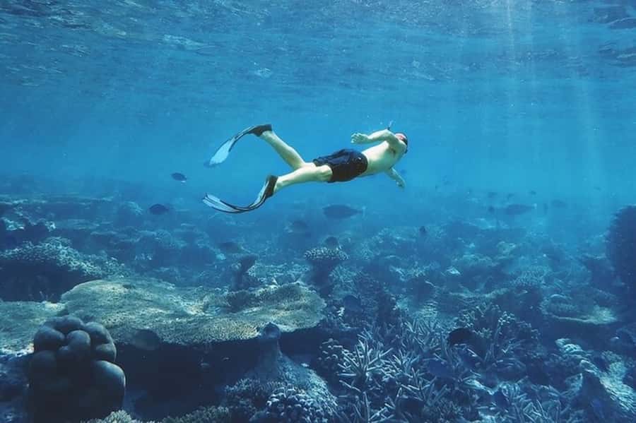Muscat: Snorkeling and Dolphin Watching Tour - Crew support and language options