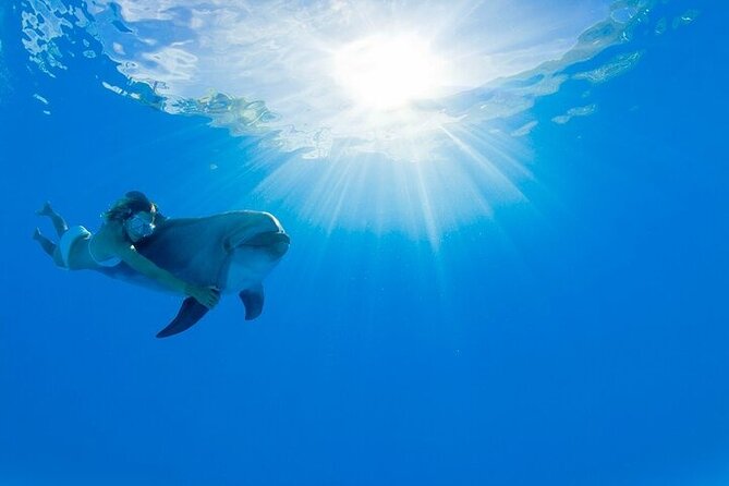 Must-DO The only and Unique Natural Space Dolphin Encounter Cabo - Key Points Before You Book