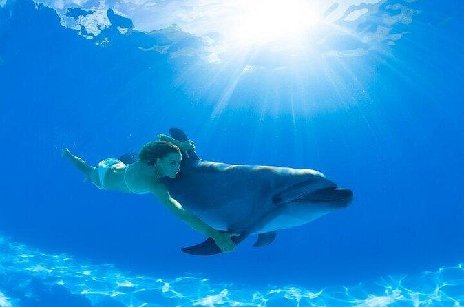 Must-DO The only and Unique Natural Space Dolphin Encounter Cabo - Strengths and Limits of the Staff Experience