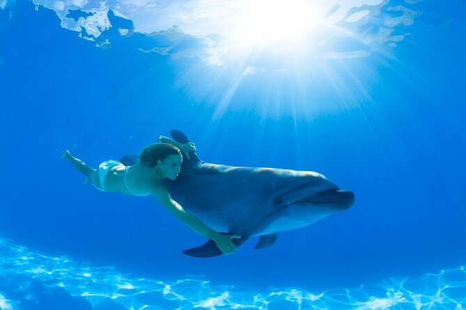 Must-DO The only and Unique Natural Space Dolphin Encounter Cabo - The Dolphin Encounter and Habitat Ride