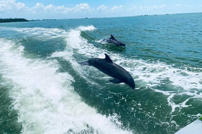 Myrtle Beach Dolphin Cruise - From Big M Casino to the open Atlantic