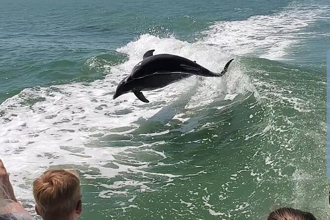 Myrtle Beach Dolphin Cruise - What $28 buys you