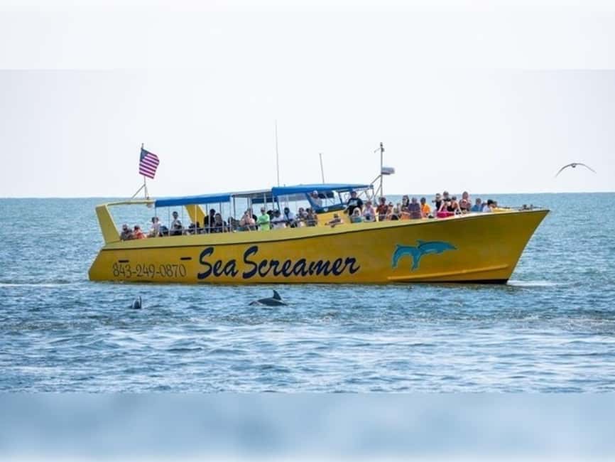 Myrtle Beach: Dolphin Cruise on the Sea Screamer - From the Intracoastal Waterway to the open Atlantic